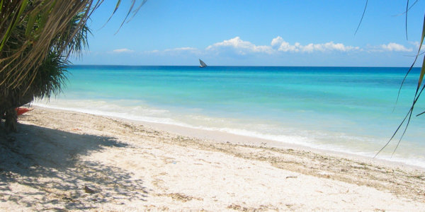 Unguja Lodge accommodatie strand kizimkazi, Zanzibar in Tanzania Unguja Lodge accommodatie strand kizimkazi, Zanzibar in Tanzania