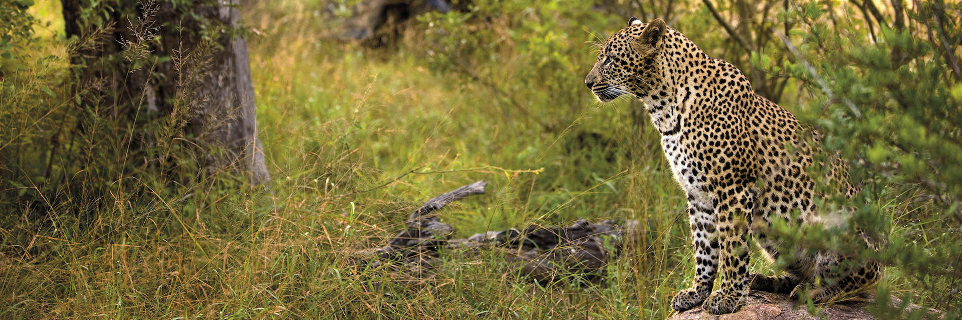 Vakantie reizen Kenia en Tanzania Vakantie reizen Kenia en Tanzania