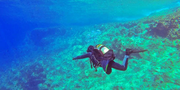Voyager Beach Resort & Spa - Maritiem nationaal park duiktrips - Bamburi en Shanzu Beach, Kenia Voyager Beach Resort & Spa - Maritiem nationaal park duiktrips - Bamburi en Shanzu Beach, Kenia