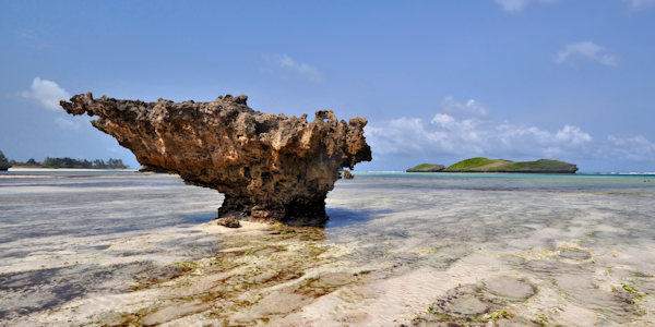 Whale Island koraalrots, Watamu Beach in Kenia Whale Island koraalrots, Watamu Beach in Kenia