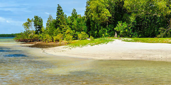 Mida kreek - noordkust Kenia
