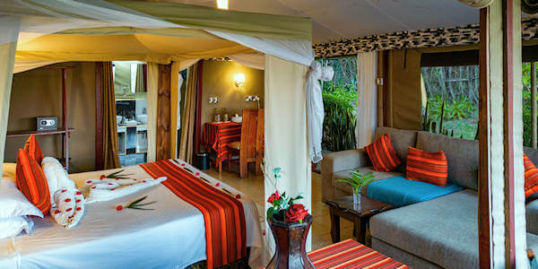 Zebra Mara Camp interieur safaritent, Masai Mara in Kenia Zebra Mara Camp interieur safaritent, Masai Mara in Kenia