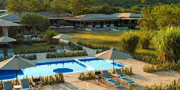 Zebra Mara Camp accommodatie zwembad met zonneterras, Masai Mara in Kenia Zebra Mara Camp accommodatie zwembad met zonneterras, Masai Mara in Kenia