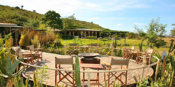 Zebra Mara Camp klik voor verdere informatie! Zebra Mara Camp klik voor verdere informatie!