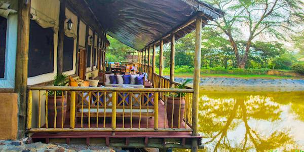 Grote overdekte veranda met uitzicht op de forellenvijver, aangrenzend aan het restaurant en lounge. Grote overdekte veranda met uitzicht op de forellenvijver, aangrenzend aan het restaurant en lounge, accommodatie Nakuru Nationaal Park in Kenia