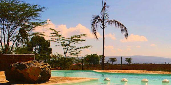 Ziwa Bush Lodge zwembad om te relaxen na een dagtrip naar Nakuru Nationaal Park. Ziwa Bush Lodge zwembad om te relaxen na een dagtrip naar Nakuru Nationaal Park.