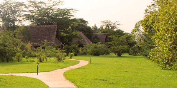 Ziwa Bush Lodge klik voor verdere informatie! Ziwa Bush Lodge klik voor verdere informatie!