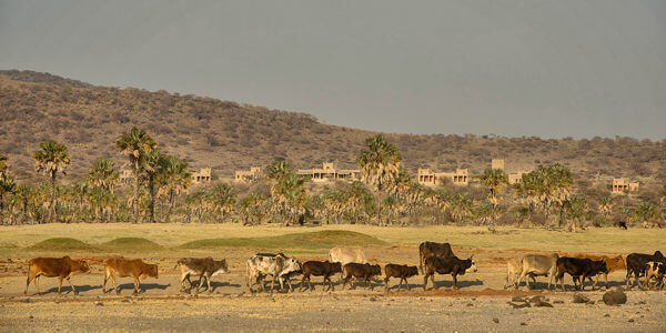 Ziwani Lodge aanzicht vanuit eyasi meer, Lake Eyasi in Tanzania Ziwani Lodge aanzicht vanuit eyasi meer, Lake Eyasi in Tanzania